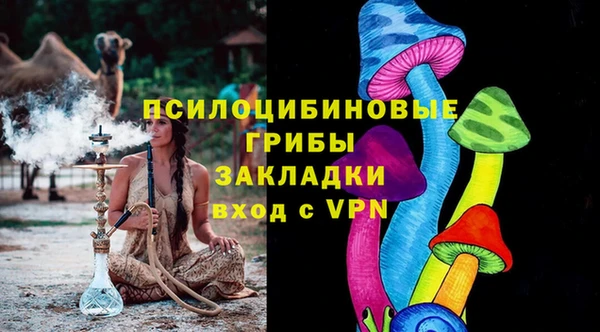 ешки Богданович