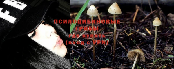 первитин Богородицк