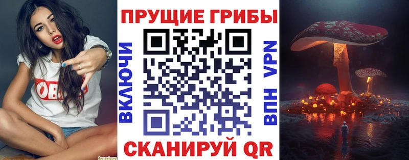 Галлюциногенные грибы Cubensis  как найти   Разумное 